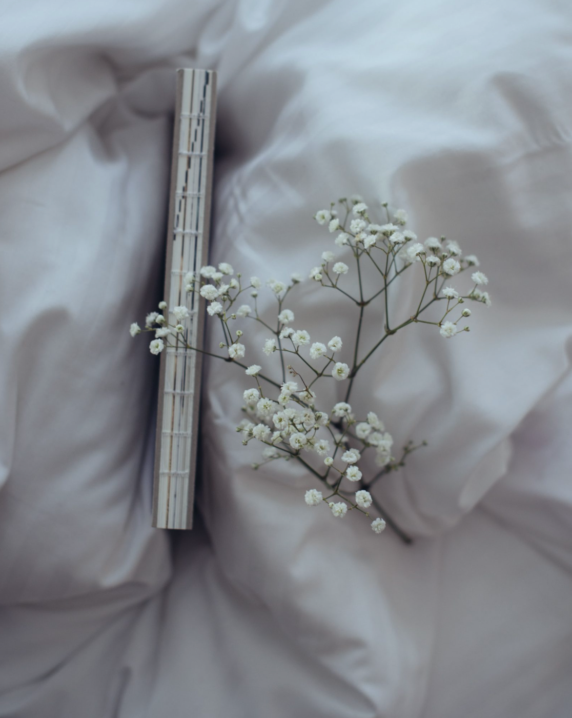 Journal "blossome"
