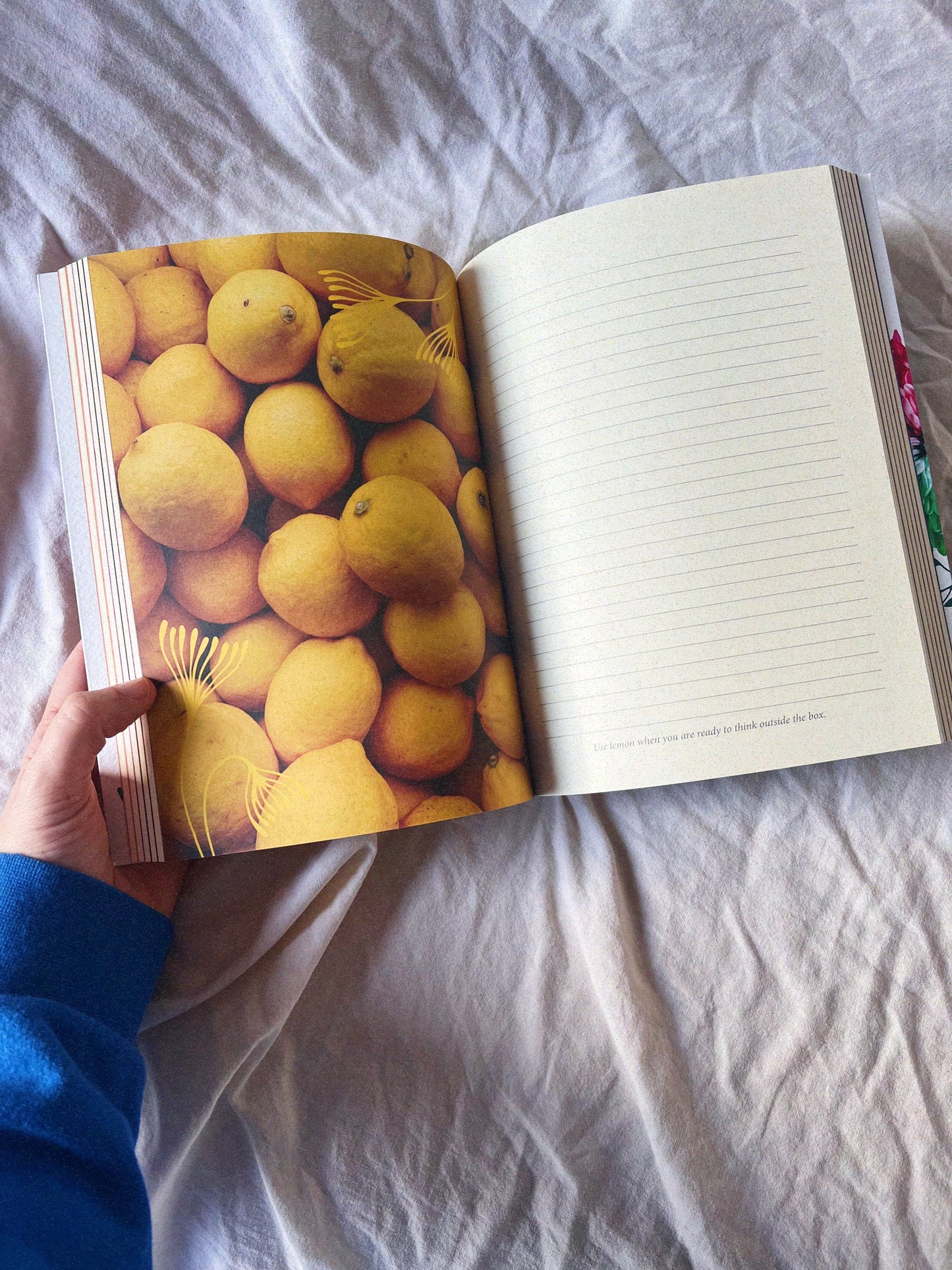 Journal "Colour Healing"